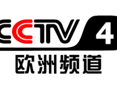 中央电视台中文国际频道(频道呼号：CCTV-4中文国际)