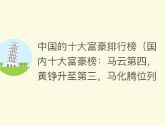 2021年国内第八大到第十大富豪分别为秦英林与钱瑛夫妇、陈建华与范红卫夫妇、丁磊