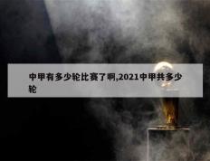 中甲联赛的比赛规则、赛程安排、比赛场地等方面都与中超联赛相同