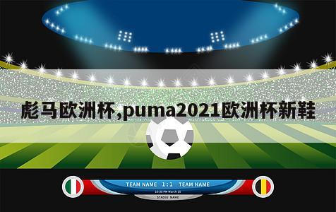 彪马欧洲杯,puma2021欧洲杯新鞋